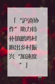 “沪滇协作”助力待补镇鹧鸡村跑出乡村振兴“加速度”